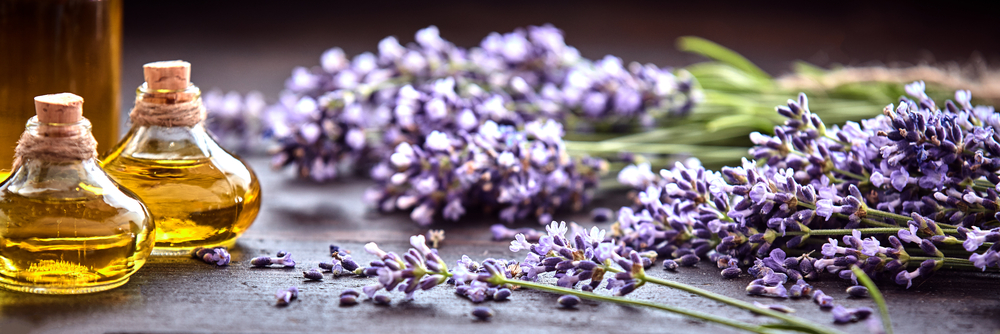 5 Essential Oils Every Wellness Enthusiast Should Have in Their Daily Routine